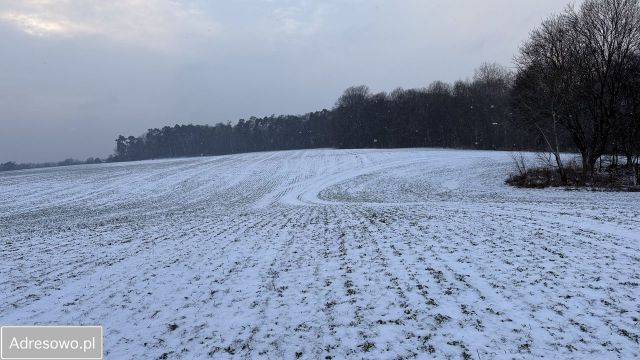 Działka budowlana Ostromecko. Zdjęcie 1