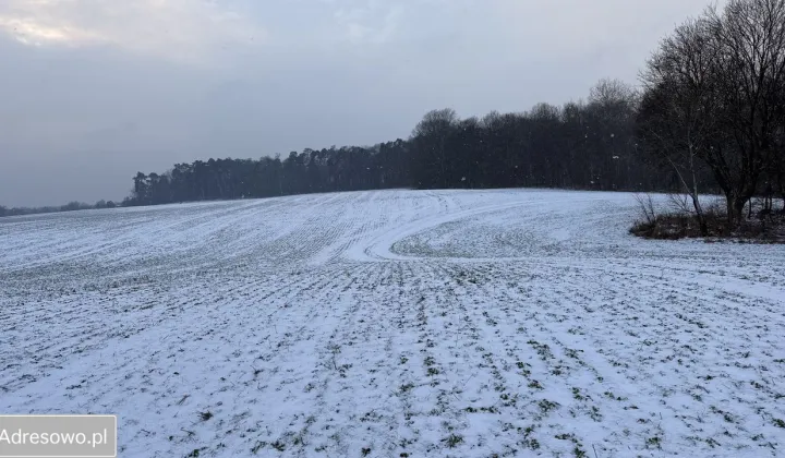 Działka budowlana Ostromecko