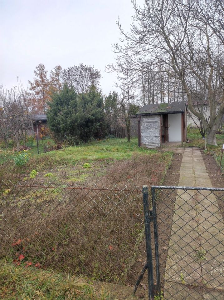 Działka rod Żuromin. Zdjęcie 4