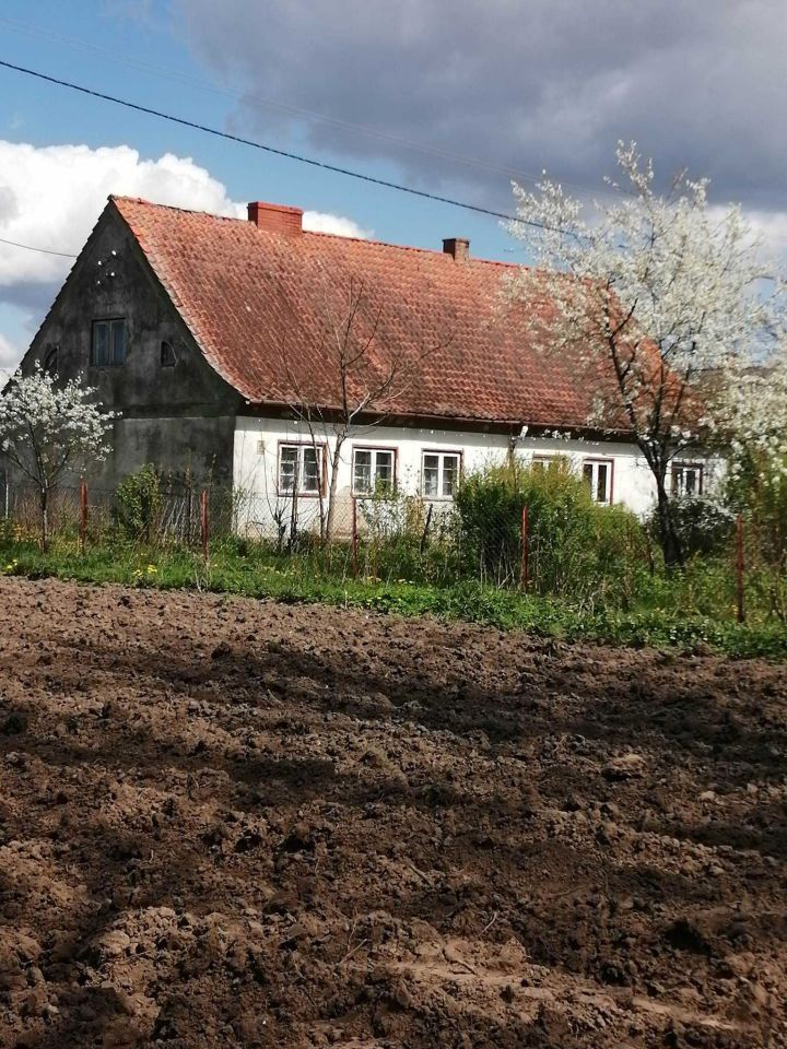 gospodarstwo Rusajny. Zdjęcie 4