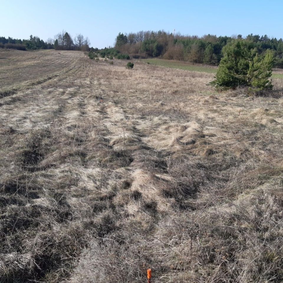 Działka budowlana Kowala Kowala Mała. Zdjęcie 2