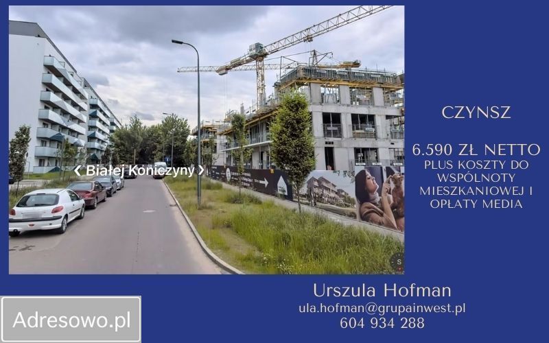 Lokal Warszawa Mokotów, ul. Białej Koniczyny