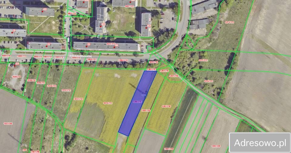 Działka rolna Piekary Śląskie, ul. Marii Curie-Skłodowskiej. Zdjęcie 2