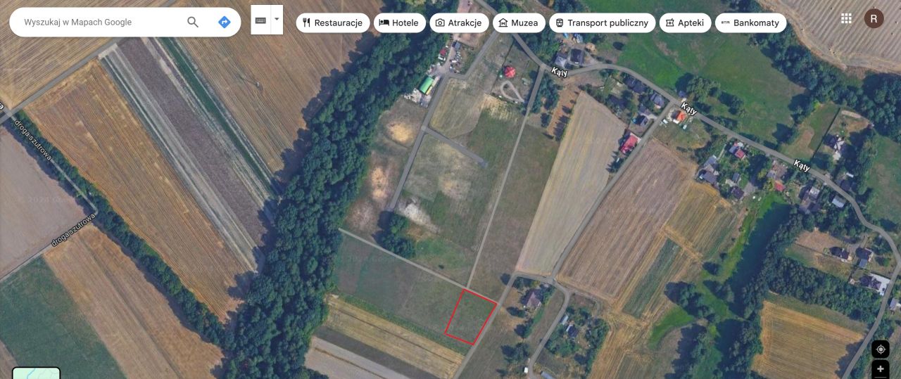 Działka rolna Mikołów Paniowy, ul. Kąty. Zdjęcie 2