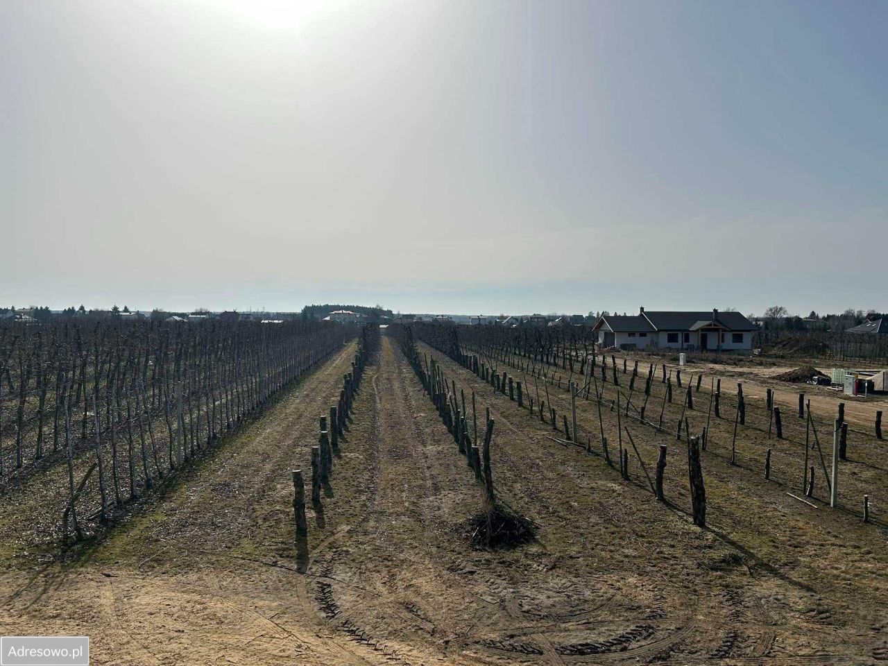 Działka budowlana Stok Lacki. Zdjęcie 8