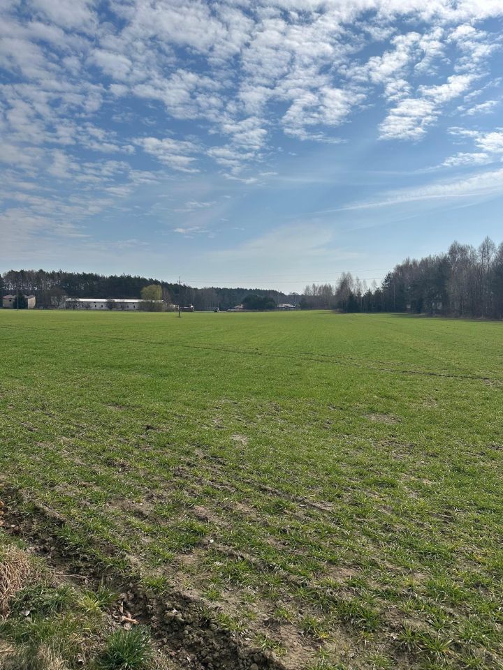 Działka budowlana Bądzyń, Ksiedza Brzoski. Zdjęcie 2