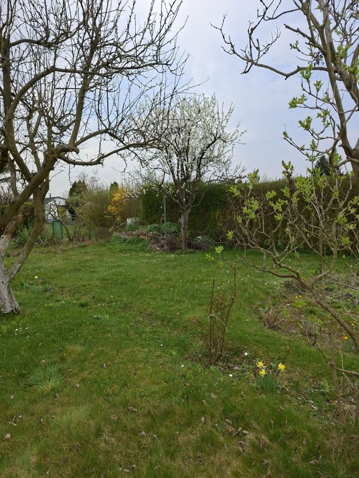 Działka rod Lubin Przylesie, Gajowa. Zdjęcie 3