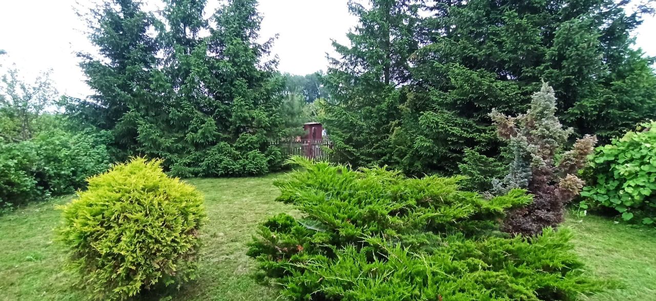 Działka rod Dęblin Lotnisko. Zdjęcie 7