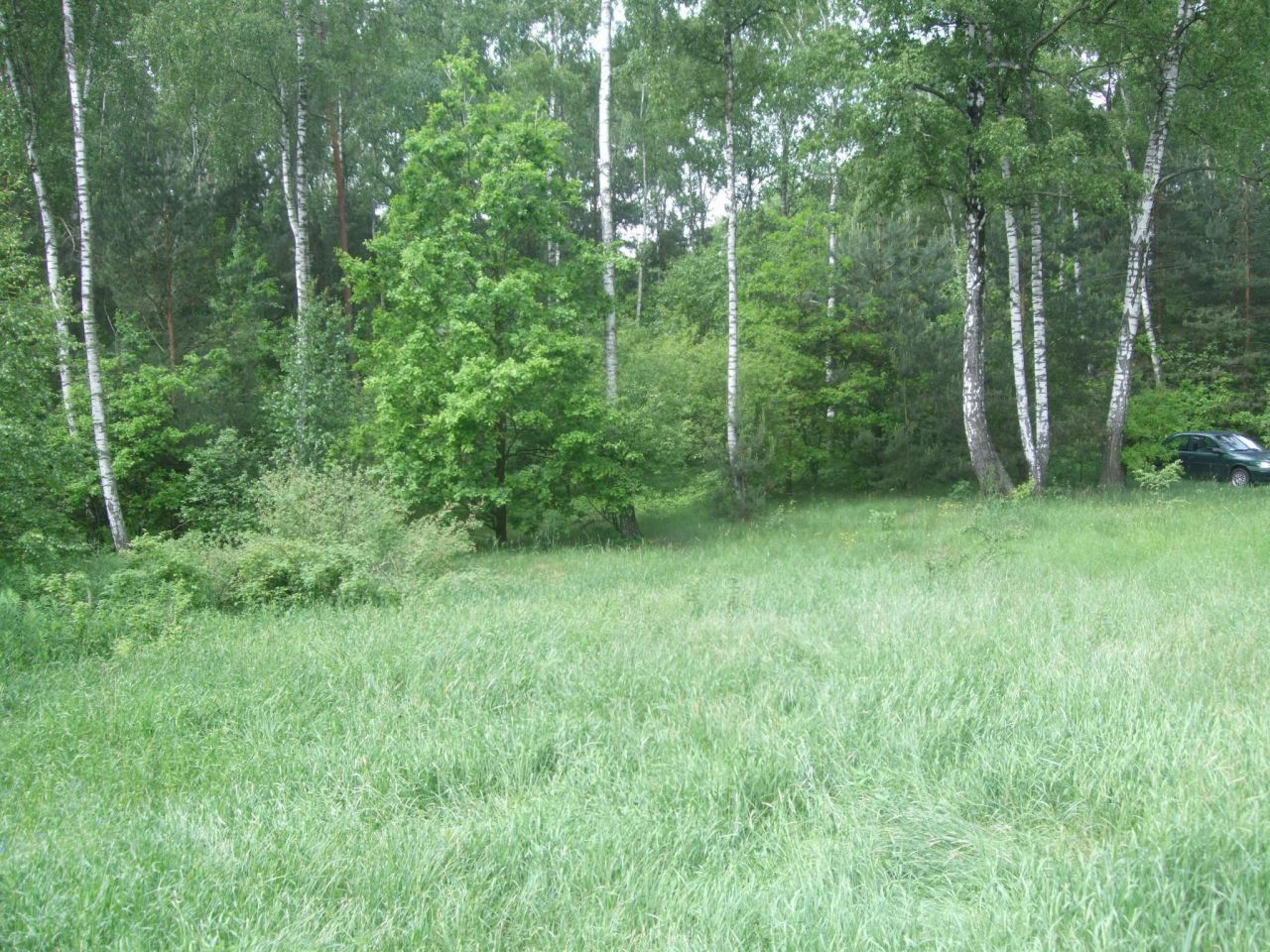 Działka siedliskowa Tymianka. Zdjęcie 6