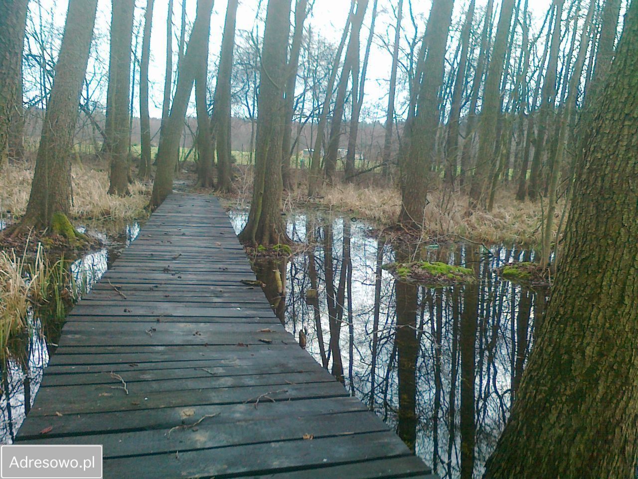 Działka rolna Chrzypsko Małe. Zdjęcie 11