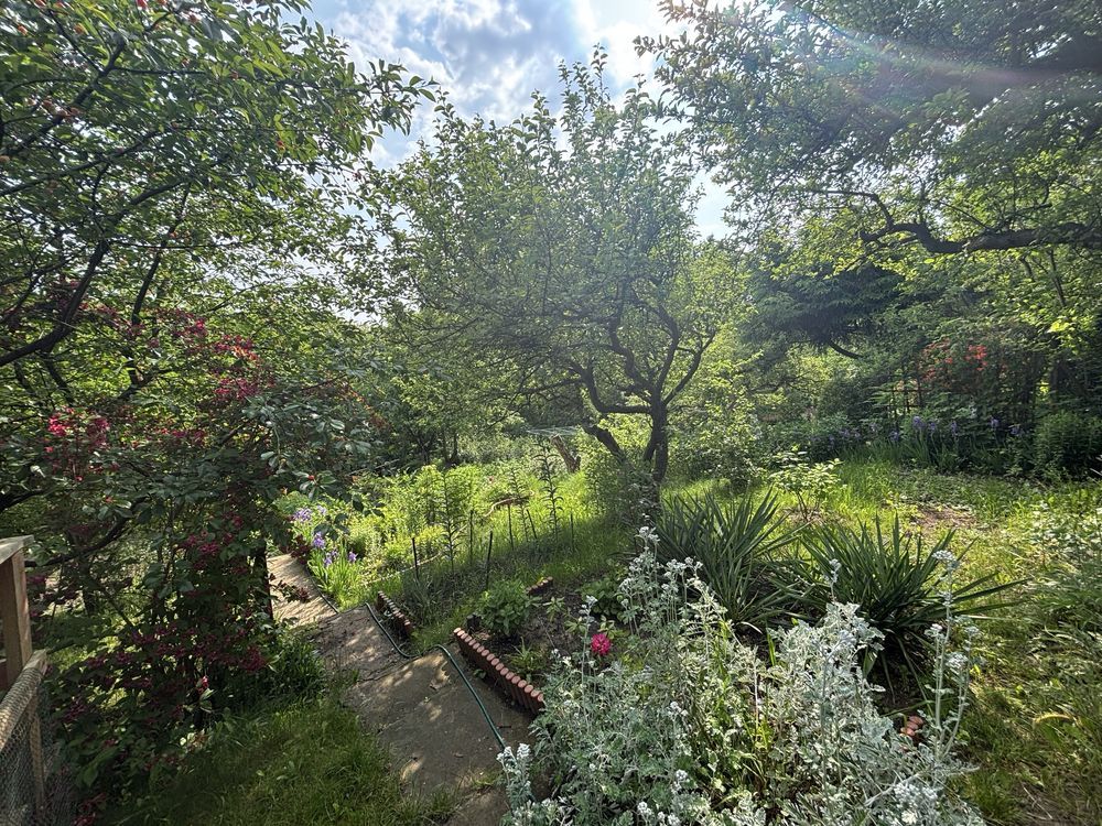 Działka rod Płock Winiary. Zdjęcie 7