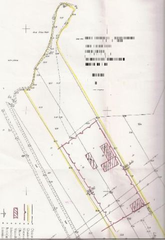 Działka inwestycyjna Grójec Mały. Zdjęcie 8