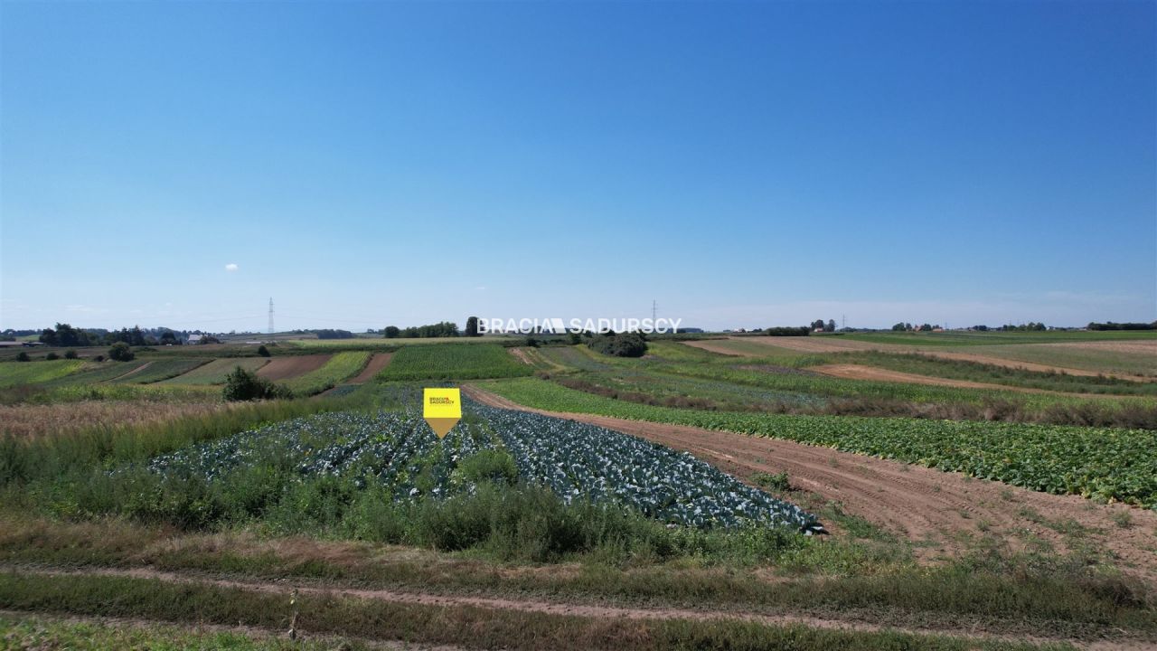 Działka rolna Proszowice, ul. Krakowska. Zdjęcie 10