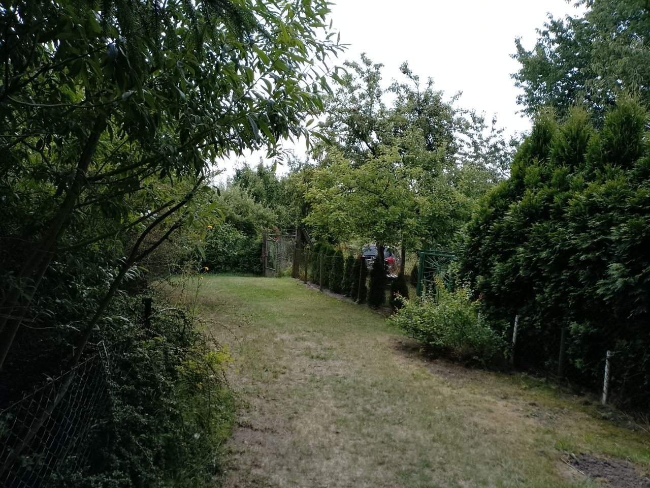 Działka rod Szczecin Bukowo, ul. Władysława Nehringa. Zdjęcie 8
