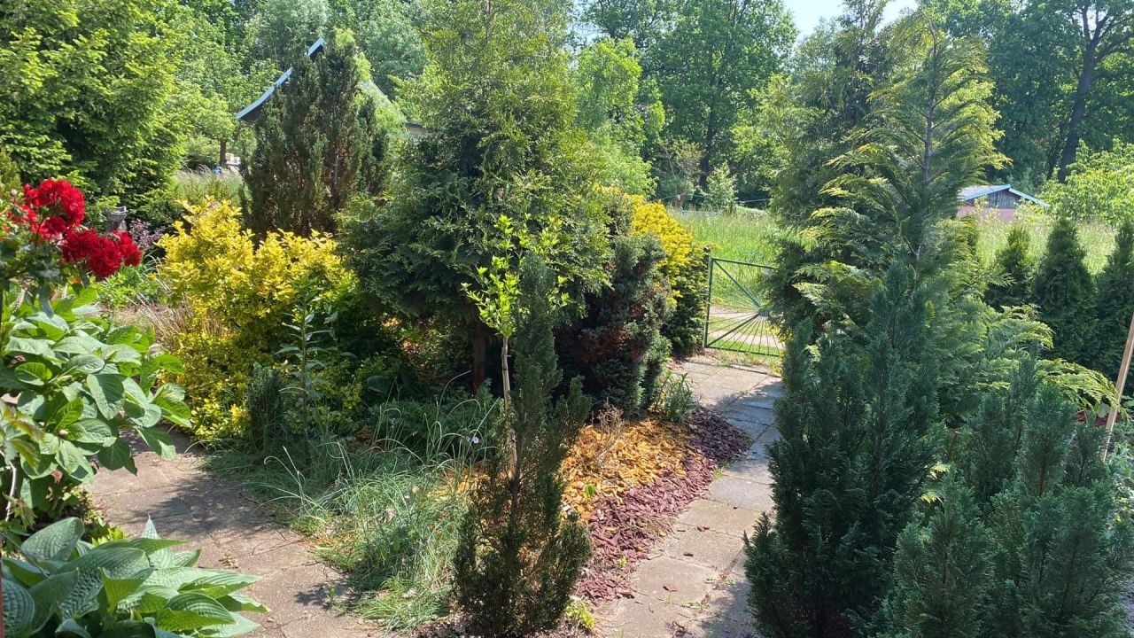 Działka rod Zielona Góra Jędrzychów, ul. Dożynkowa. Zdjęcie 15