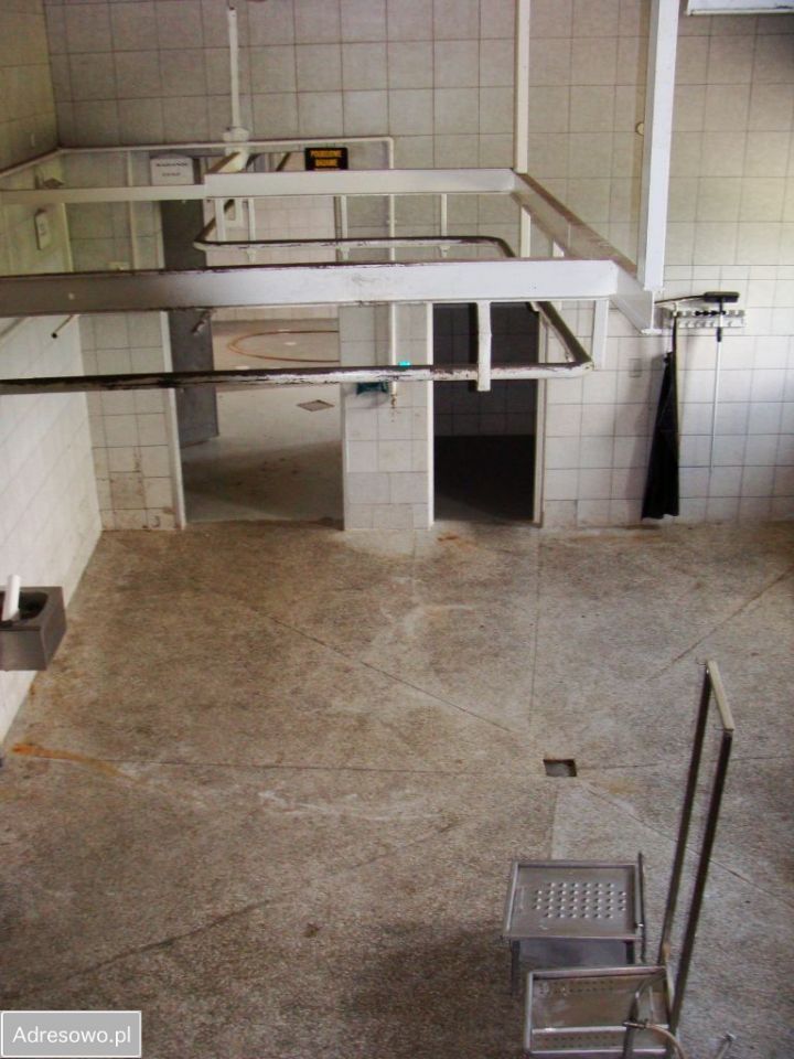 Hala/magazyn Strzelce Wielkie Strzelce Wielkie-Kolonia, ul. Michałów. Zdjęcie 6