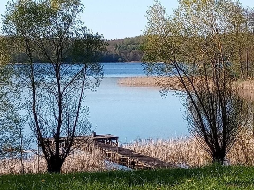 Działka rolna Donatowo. Zdjęcie 2