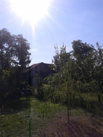 Działka rekreacyjna Poznań, ul. Madziarska. Zdjęcie 1