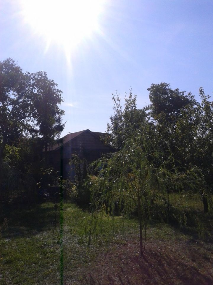 Działka rekreacyjna Poznań, ul. Madziarska