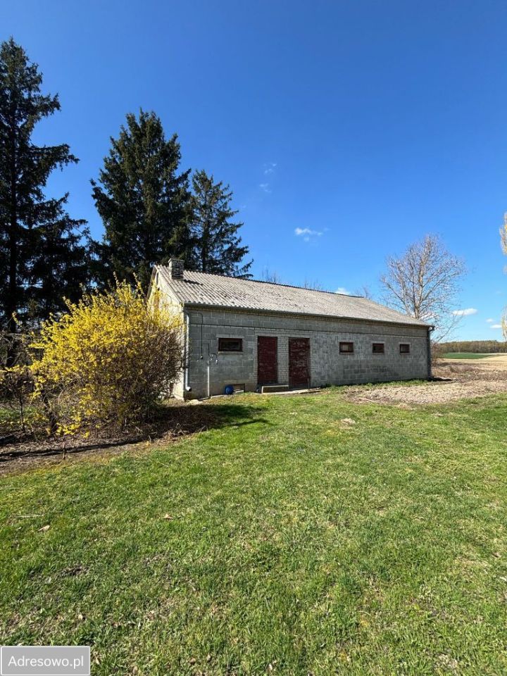 dom wolnostojący, 6 pokoi Miętkie-Kolonia. Zdjęcie 5