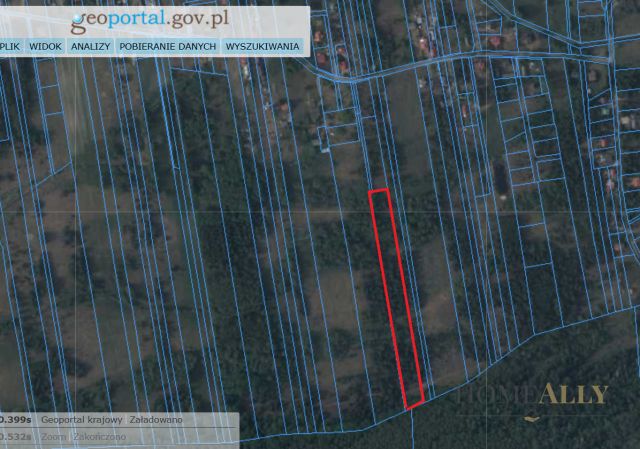 Działka rolna Teofile. Zdjęcie 6
