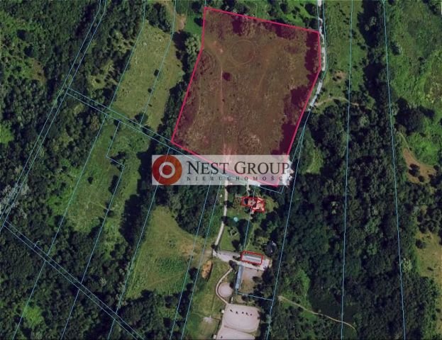 Działka inwestycyjna Skierdy, ul. Lipowa. Zdjęcie 2