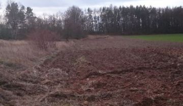 Działka rolno-budowlana Kobiela