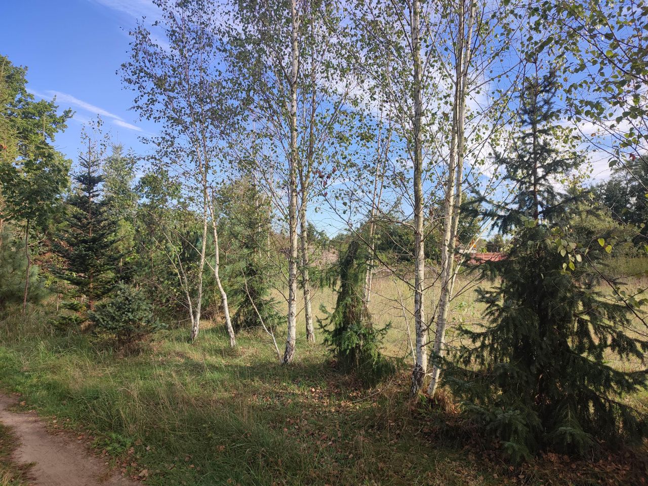 Działka budowlana Secyminek. Zdjęcie 2