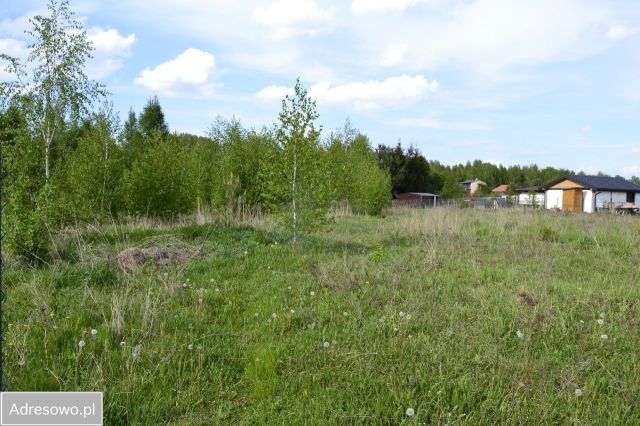 Działka rekreacyjna Kromszewice. Zdjęcie 1