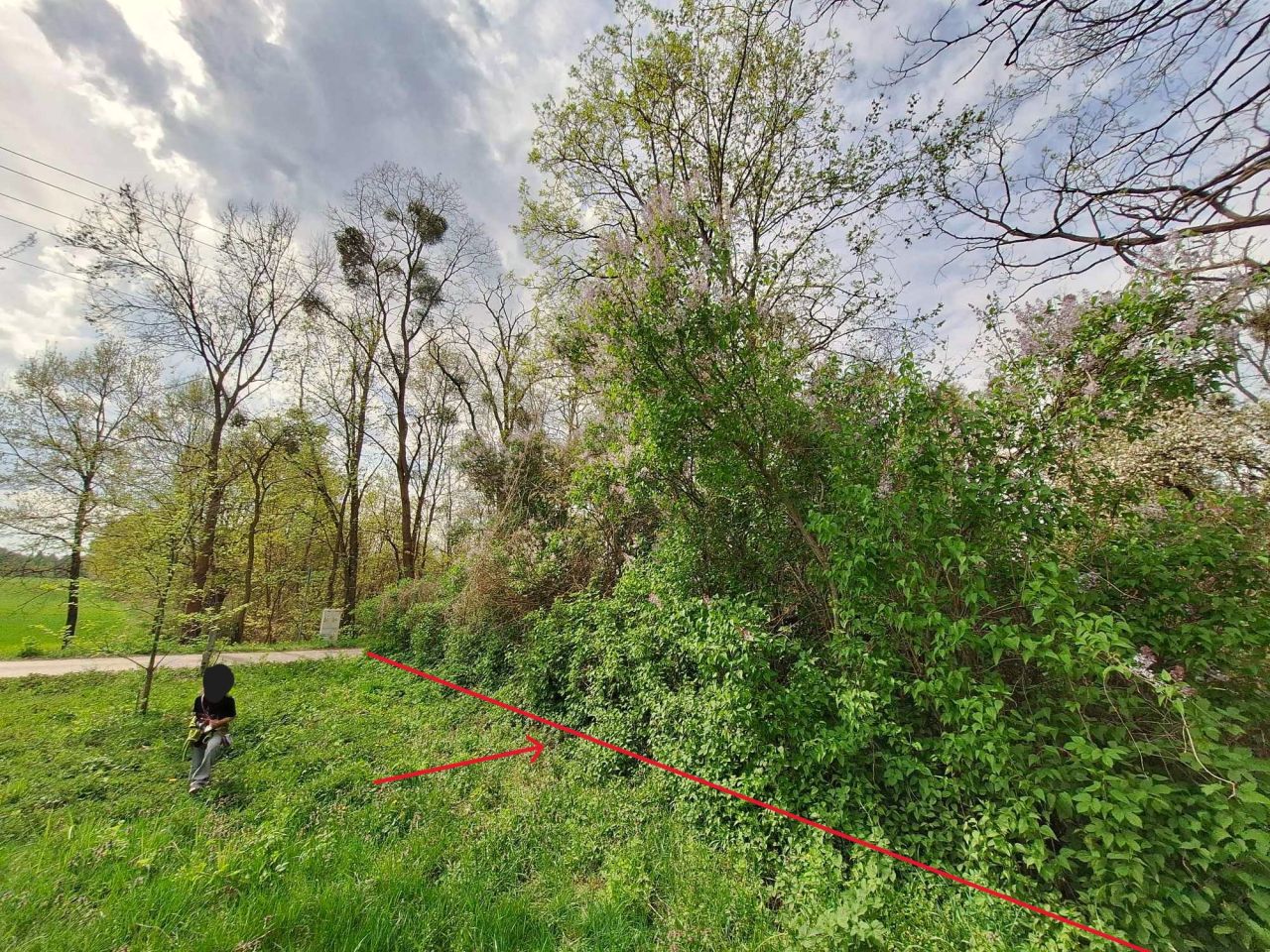 Działka rolno-budowlana Nowa Wieś-Śladów. Zdjęcie 18