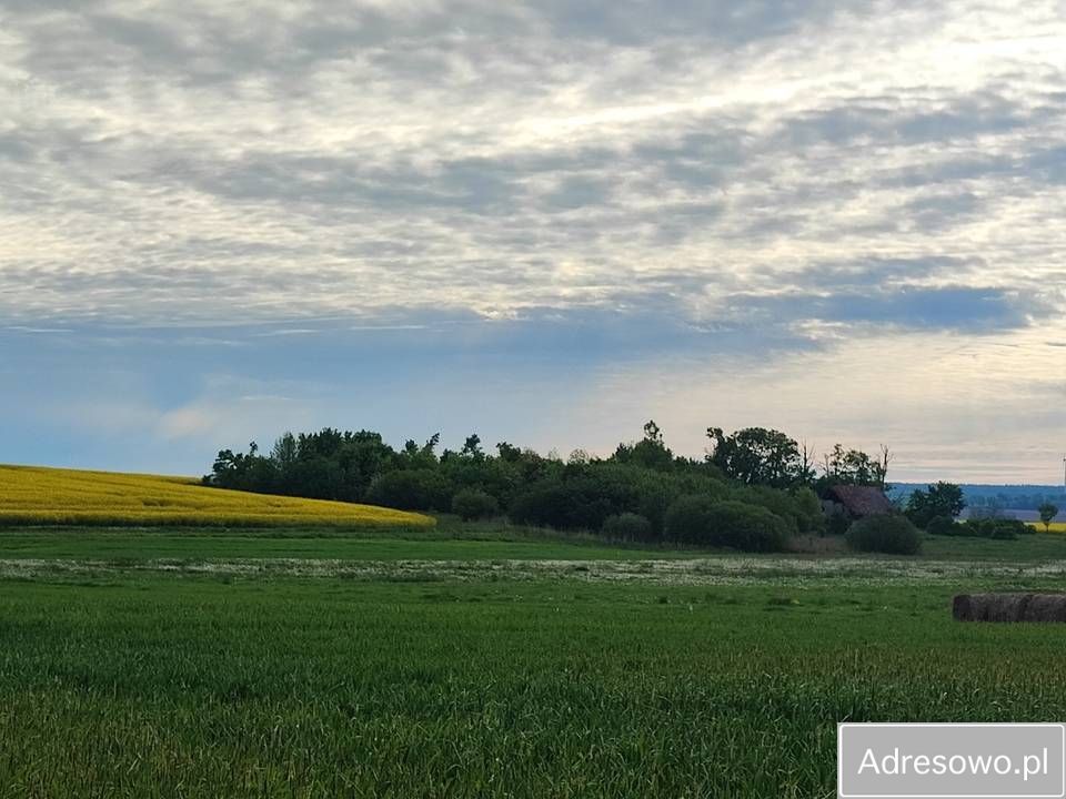 Działka siedliskowa Grzęda. Zdjęcie 7