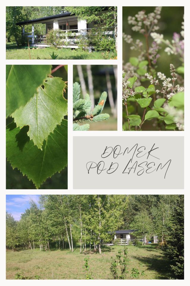 Działka budowlana Grabina Radziwiłłowska, ul. Duża. Zdjęcie 4