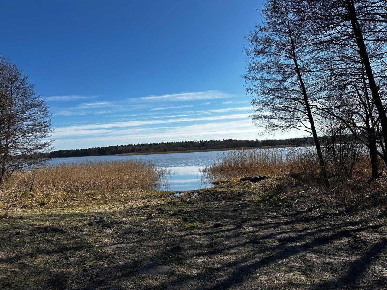 Działka rekreacyjna Rogowo. Zdjęcie 6