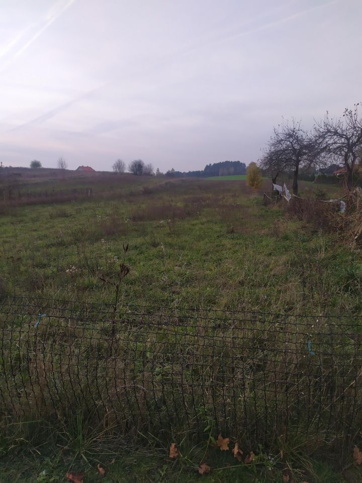 Działka rolno-budowlana Romany. Zdjęcie 3