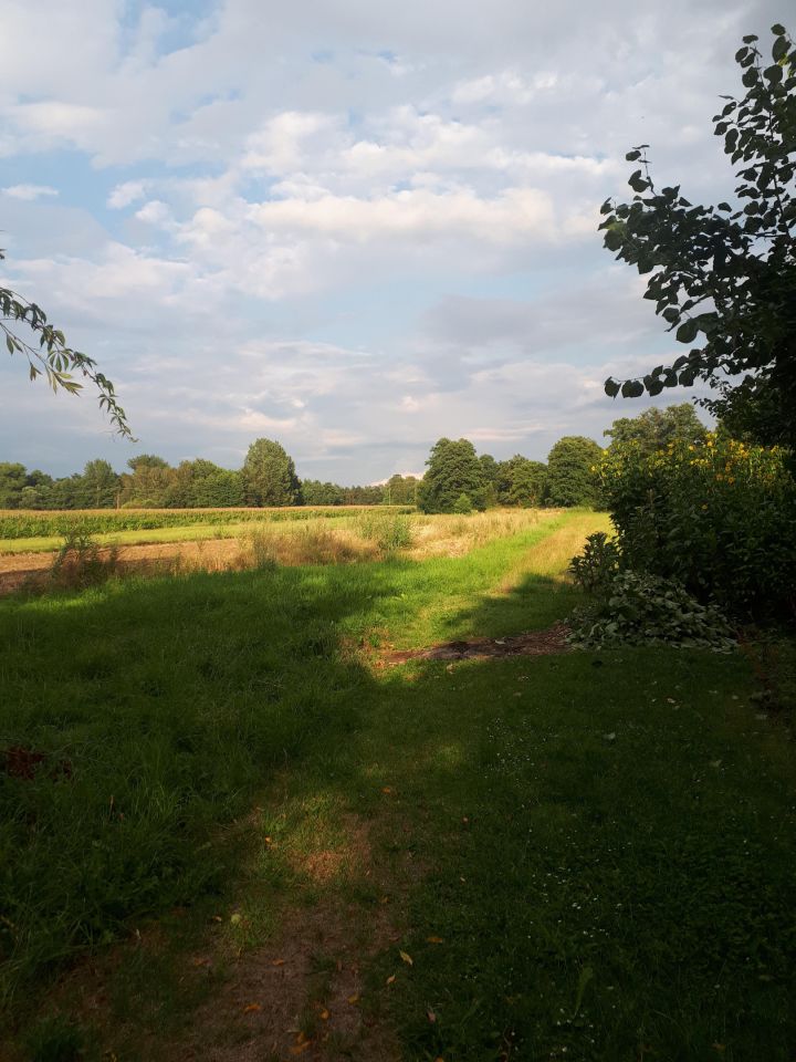 Działka rolno-budowlana Ostrzeszów, ul. Podmiejska . Zdjęcie 6