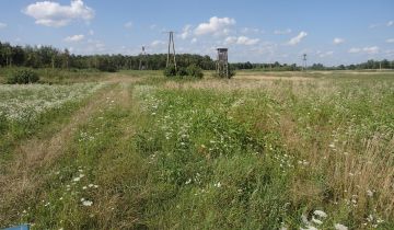 Działka rolna Jagodne