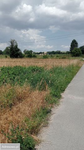 Działka rolno-budowlana Wodzisław. Zdjęcie 1