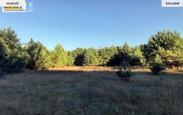 Działka rekreacyjna Krzywnica. Zdjęcie 5