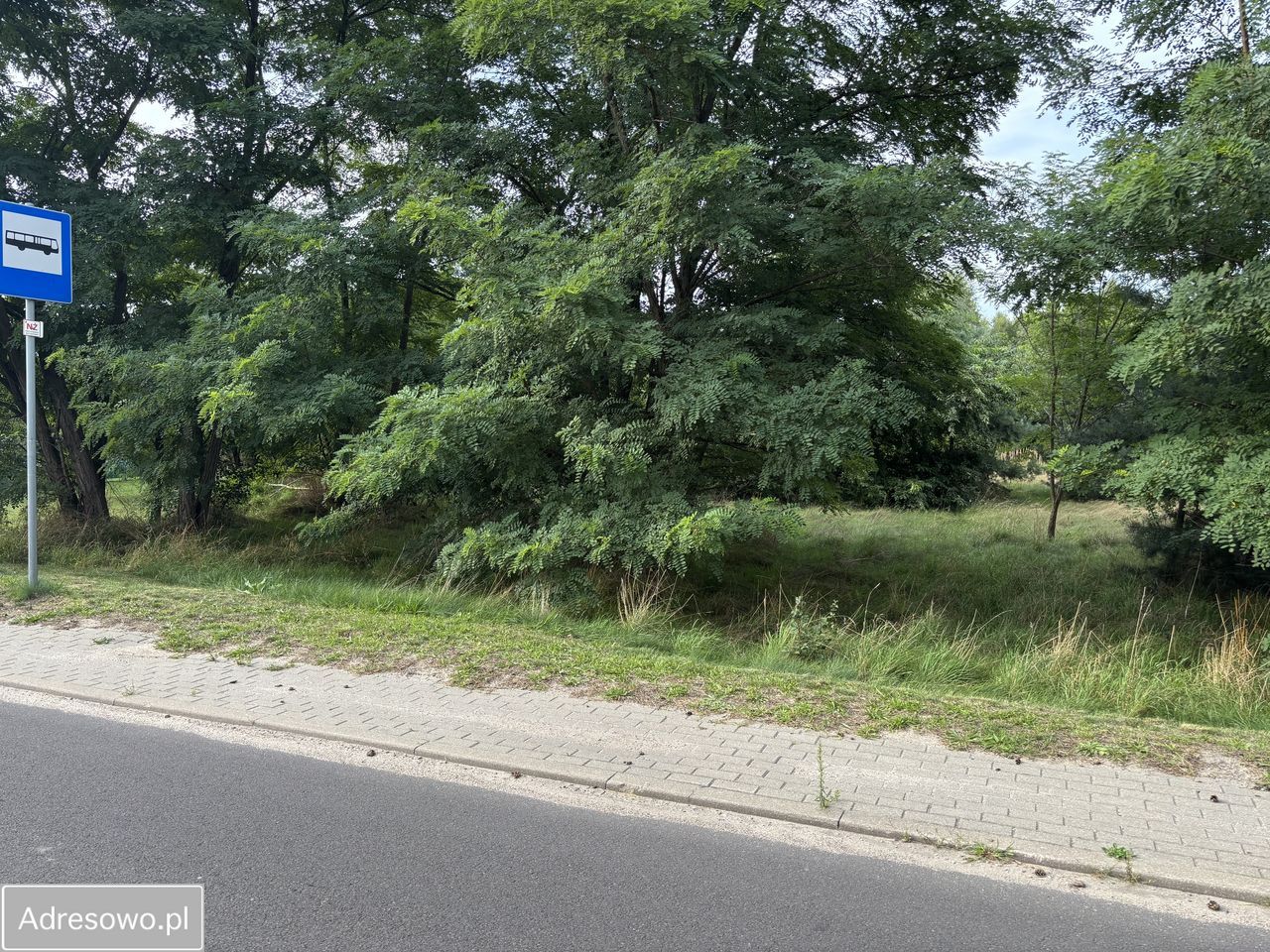Działka budowlana Paprotnia. Zdjęcie 5