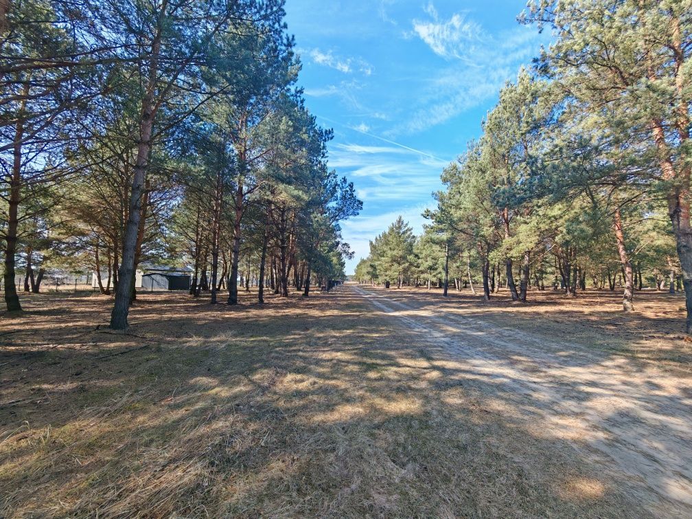 Działka budowlana Choinek. Zdjęcie 3