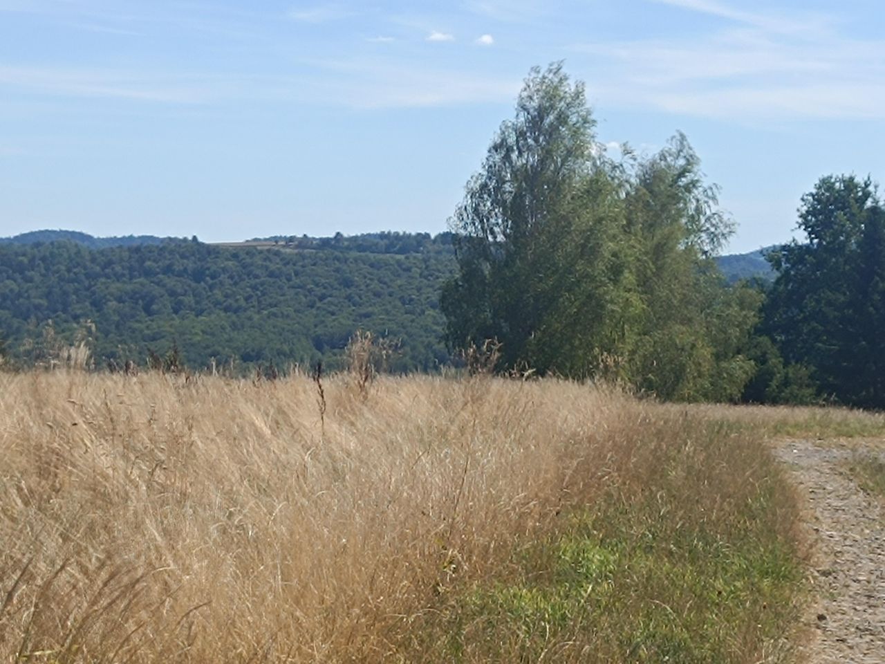 Działka budowlana Zbydniów. Zdjęcie 4