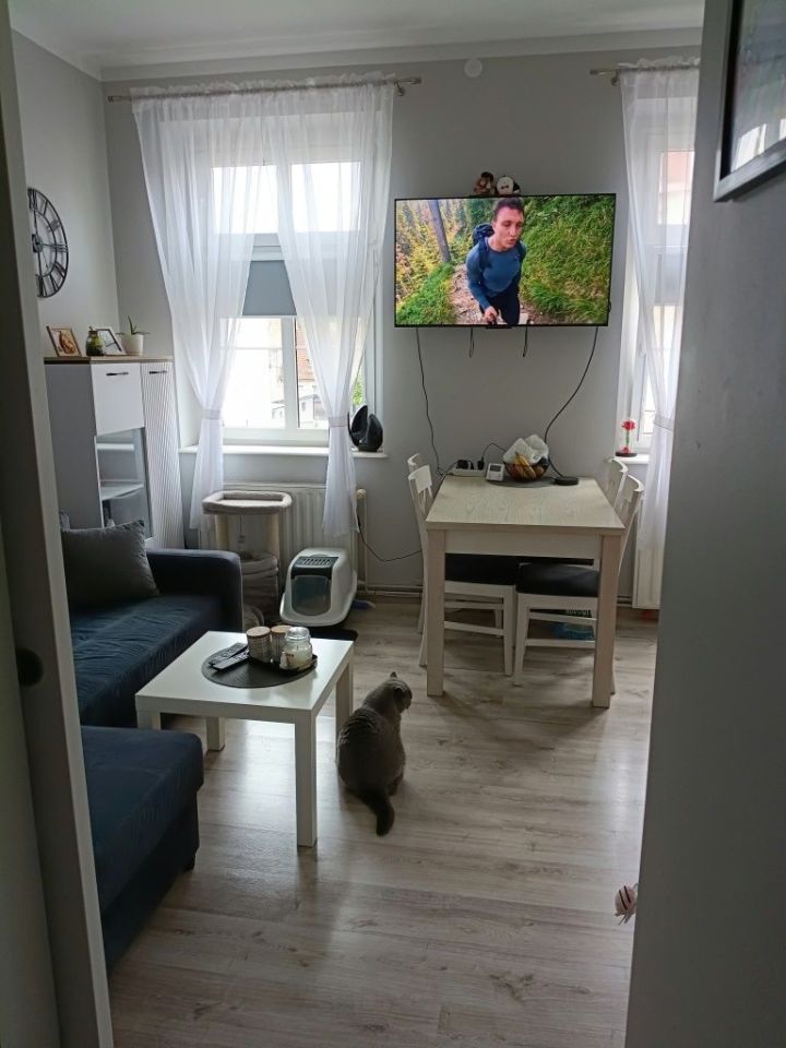 Mieszkanie 2-pokojowe Sulechów, ul. Zwycięstwa. Zdjęcie 3