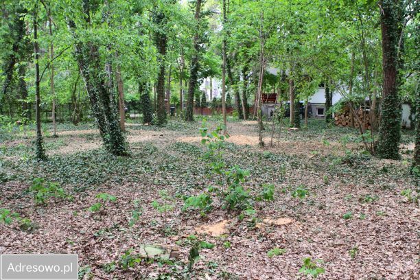 Działka budowlana Podkowa Leśna, ul. Wiewiórek. Zdjęcie 13