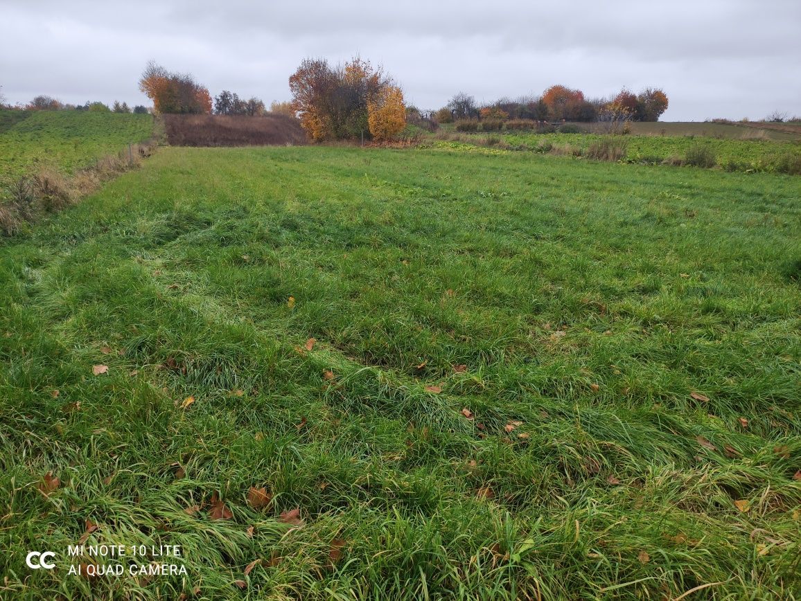 Działka rolno-budowlana Sadurki. Zdjęcie 2