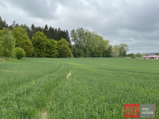 Działka budowlana Niemierze. Zdjęcie 2