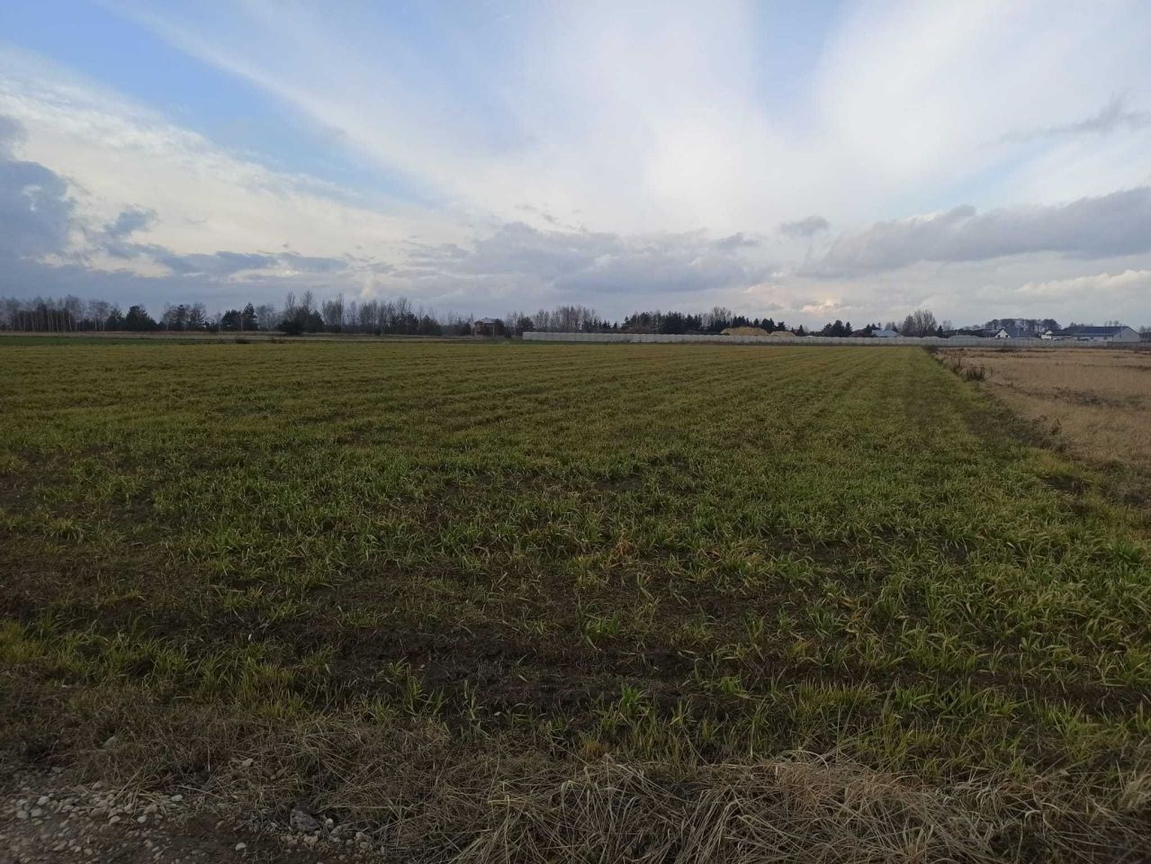 Działka budowlana Janczewice, ul. Jaśminowa. Zdjęcie 4