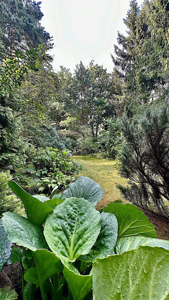 Działka budowlana Radom Śródmieście, ul. Małopolska. Zdjęcie 9