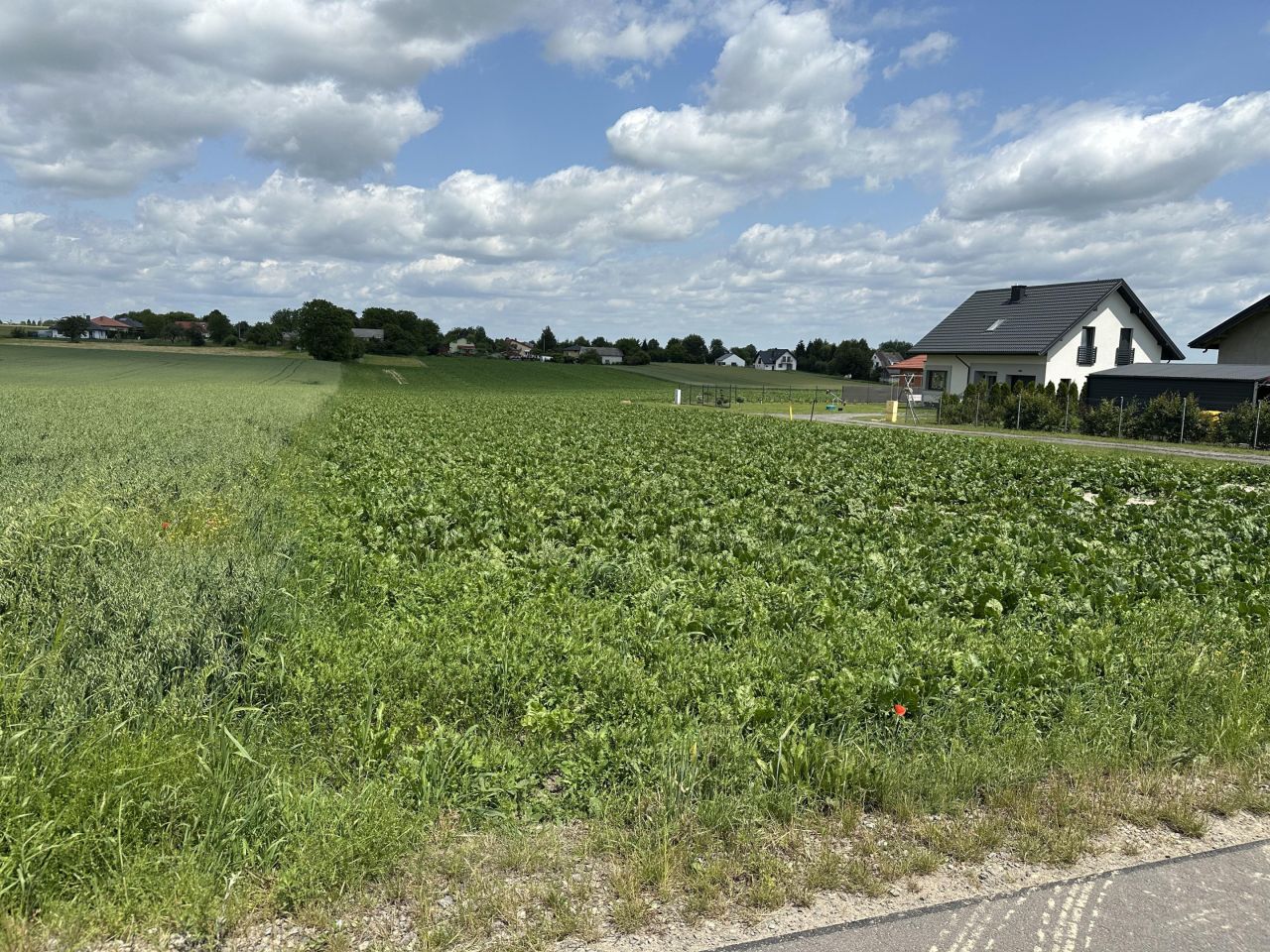 Działka rolno-budowlana Niedrzwica Duża, ul. Cicha. Zdjęcie 6