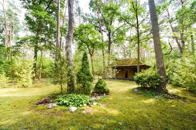 dom wolnostojący, 6 pokoi Poddębie, ul. Sosnowa. Zdjęcie 5