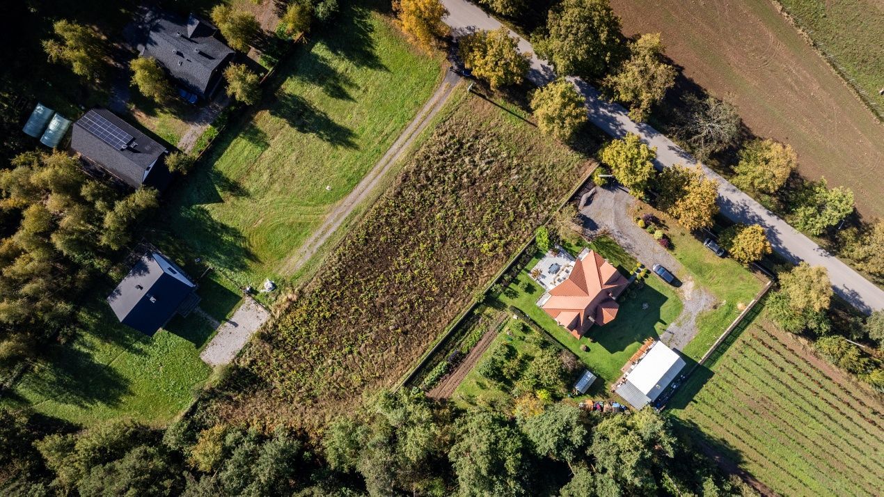 Działka budowlana Oblęgorek. Zdjęcie 2